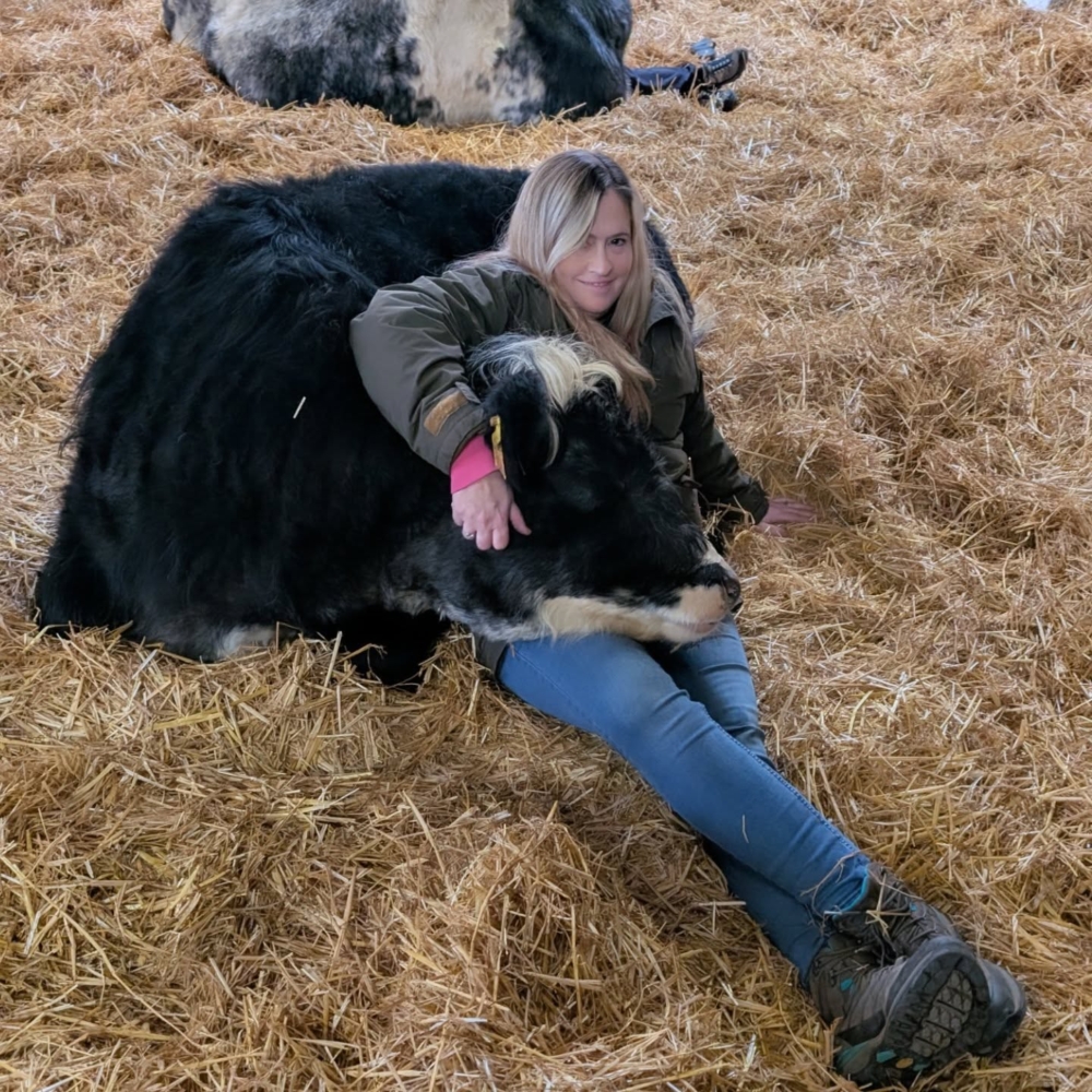 擁抱牛這件事，得看牠願不願意配合。為了打造出真正療癒、對牛也友善的體驗