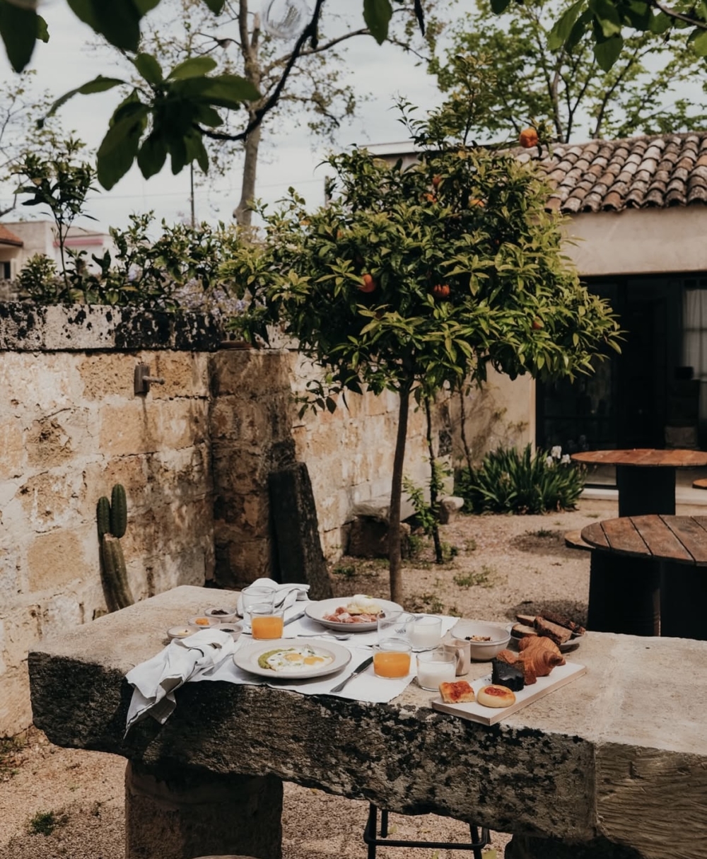 種植著橘子樹的廣闊庭院花園中。