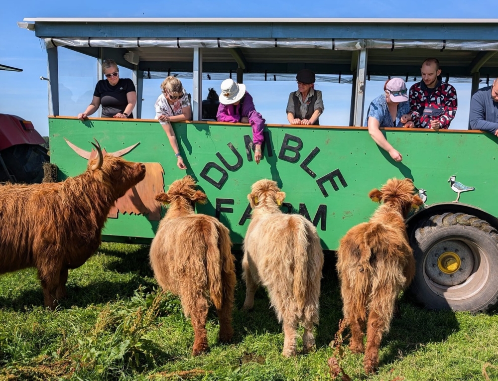 特別是在英國和美國，已成為新興的「療癒經濟」的一部分。
