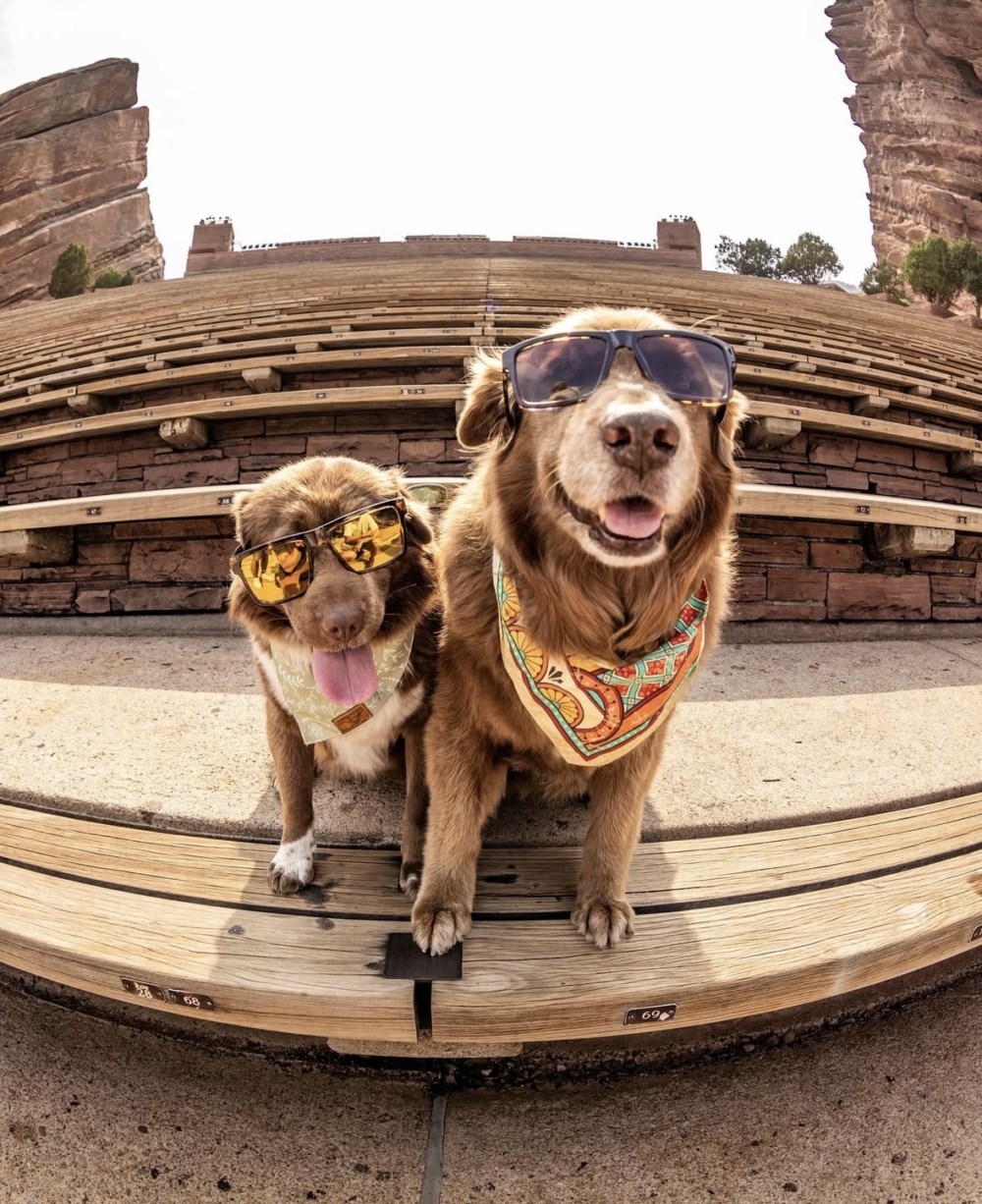 美國雷鬼樂團Stick Figure的成員最會巡迴的狗狗Cocoa。