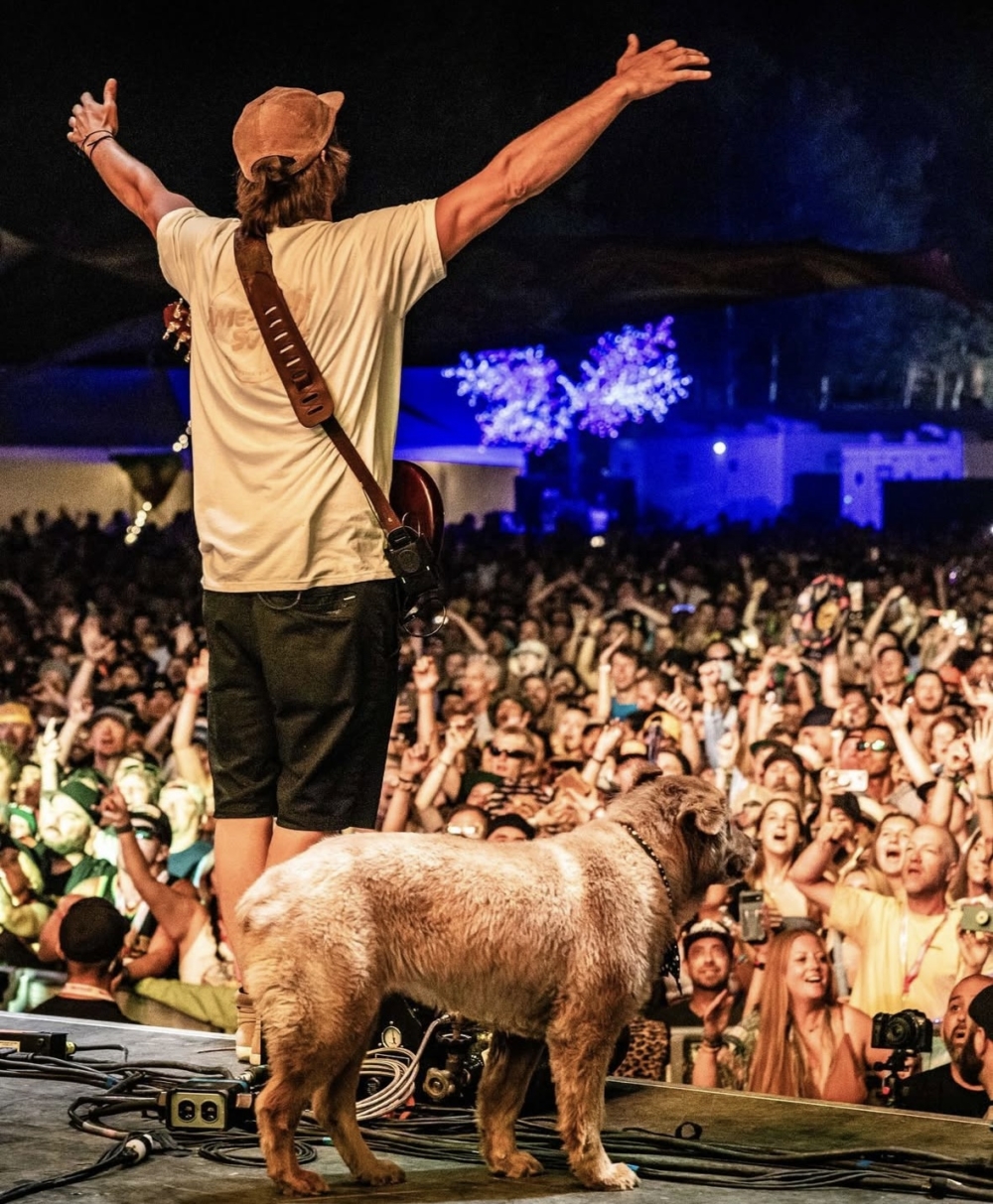 Cocoa其實是一位聾啞狗狗，音樂的喧鬧並未讓她不安。