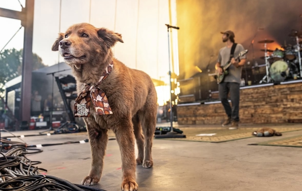 Stick Figure把這份溫柔帶上了舞台。