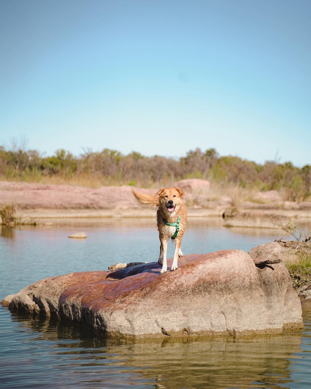優美的戶外環境。