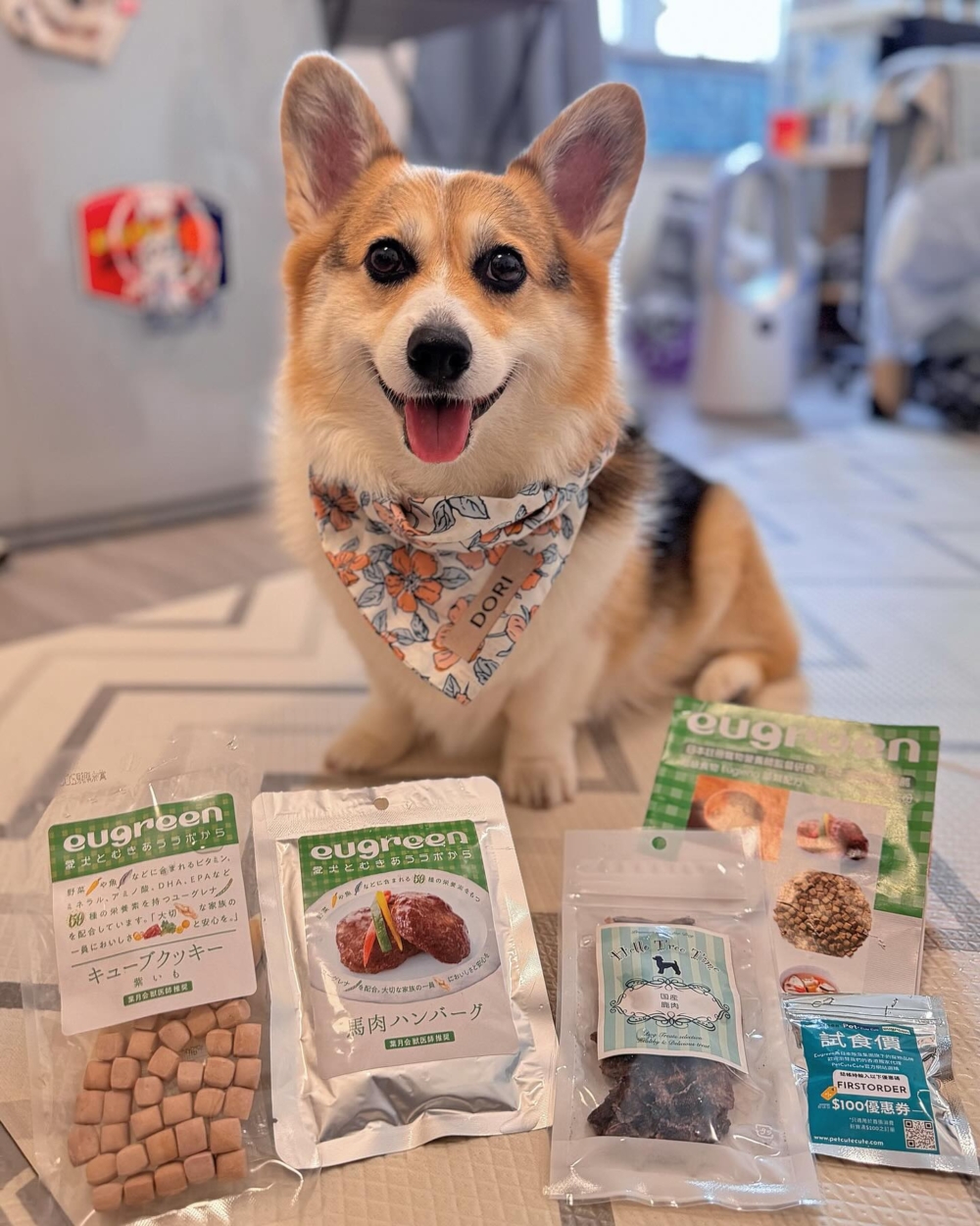 eugreen系列主食中就已融合保健機能，無須額外添加。針對消化、免疫、關節、排毒等狀況，都有清楚標示的配方