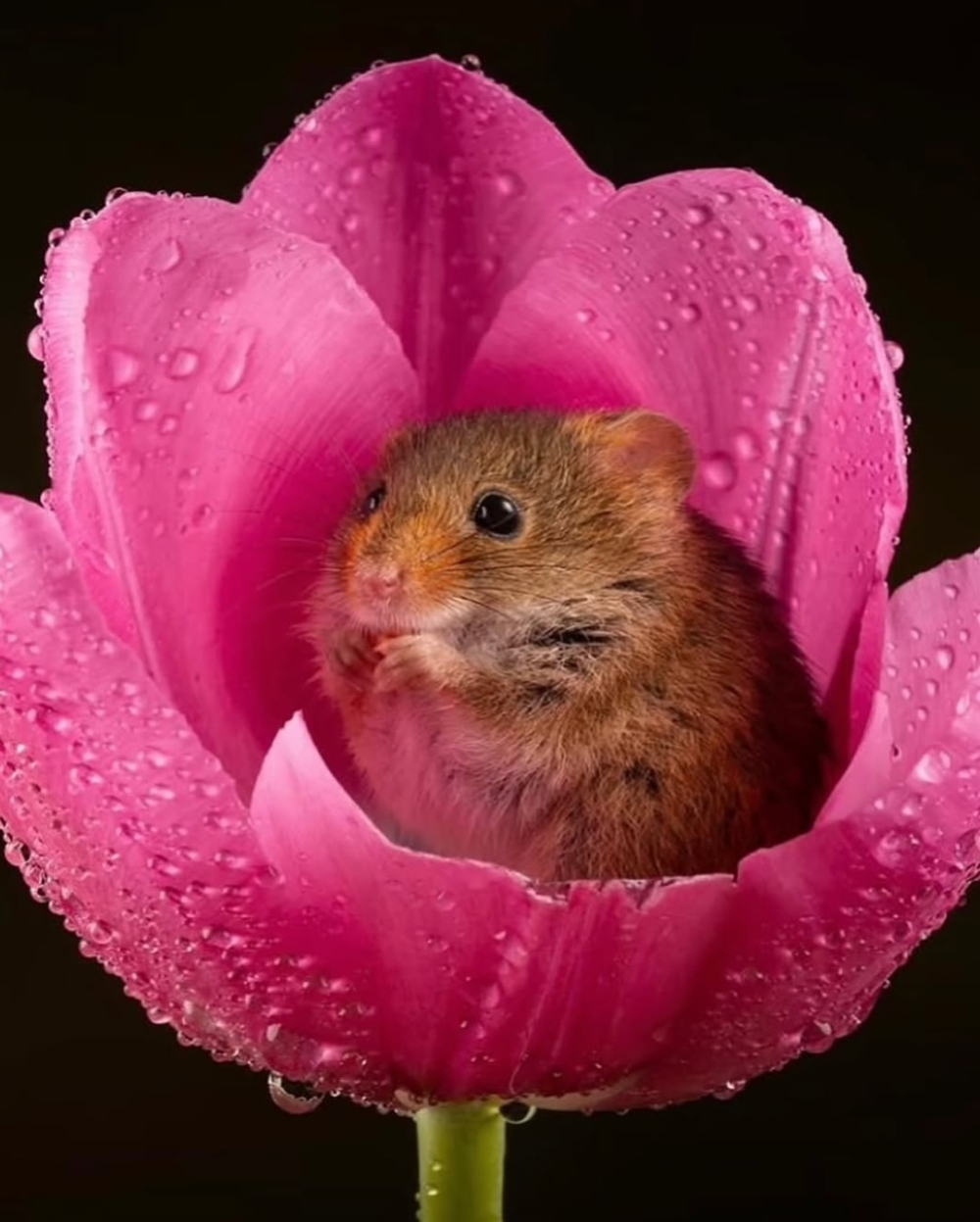 自然的溫柔提醒，療癒就在日常的角落。