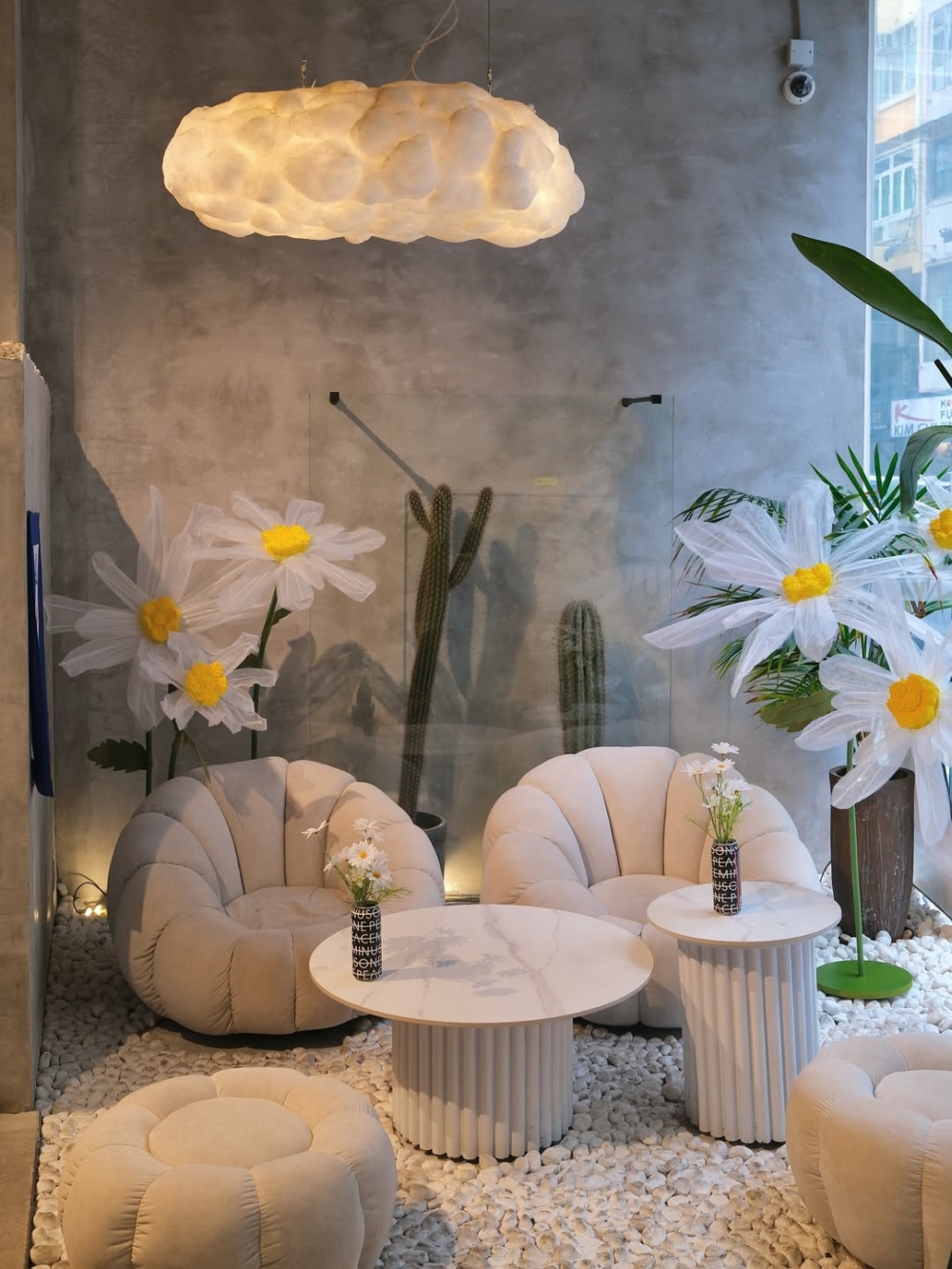 一進門就能看到沙發區後方的小雛菊花圃