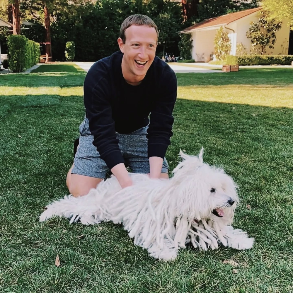 Mark Zuckerberg 的出價策略粗暴而有效:通常是市價的兩到三倍,其中一棟房產的成交價甚至高達 1450 萬美元