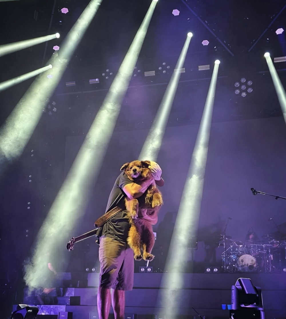 Cocoa的存在，就像流動的心靈支撐，療癒的不僅是團員，更包括無數樂迷。