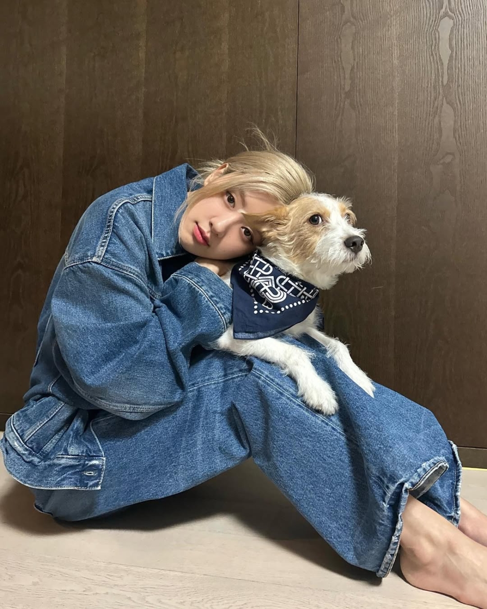 相信大家為了毛孩好，經常換著搭配不同的飲食