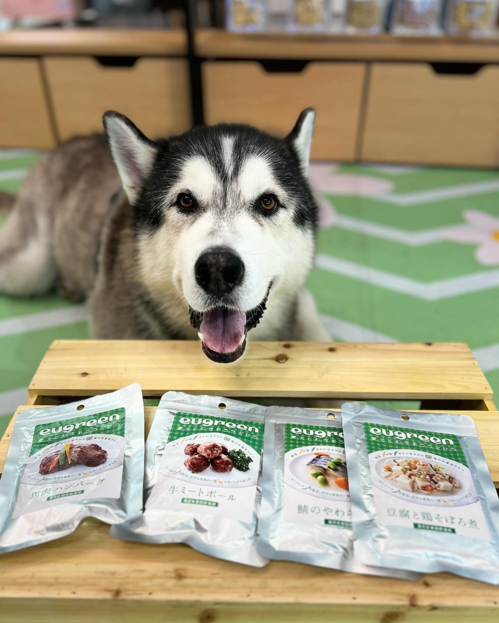 eugreen目前可於Pet Koi Koi、Ruff and Fetch、All Japan Pet等零售商及網店PetCuteCute購買，濕食與乾糧系列皆有提供