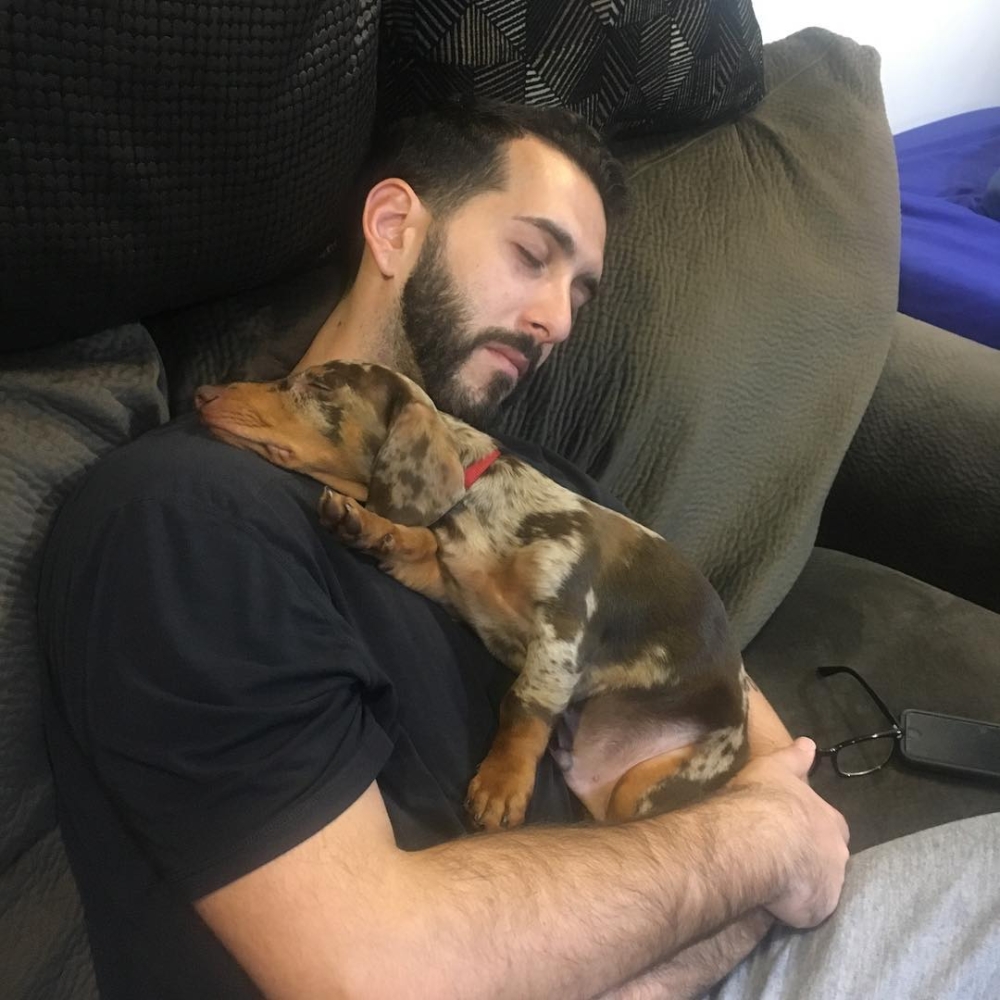 他們不只要為愛犬討回公道,更要為所有視寵物為家人的飼主爭取權利。