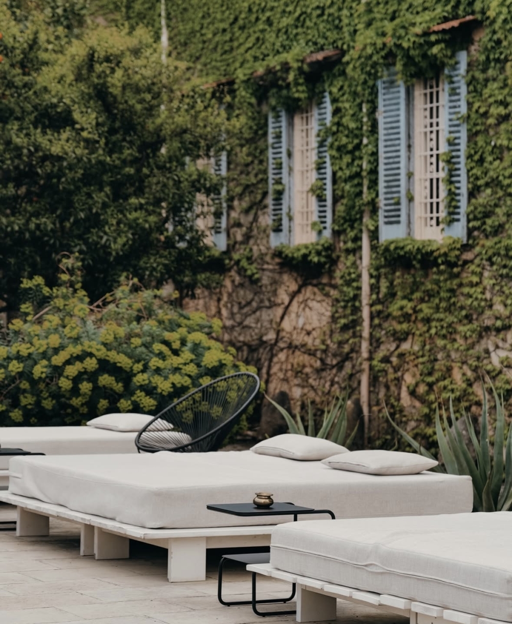 種植著橘子樹的廣闊庭院花園中。