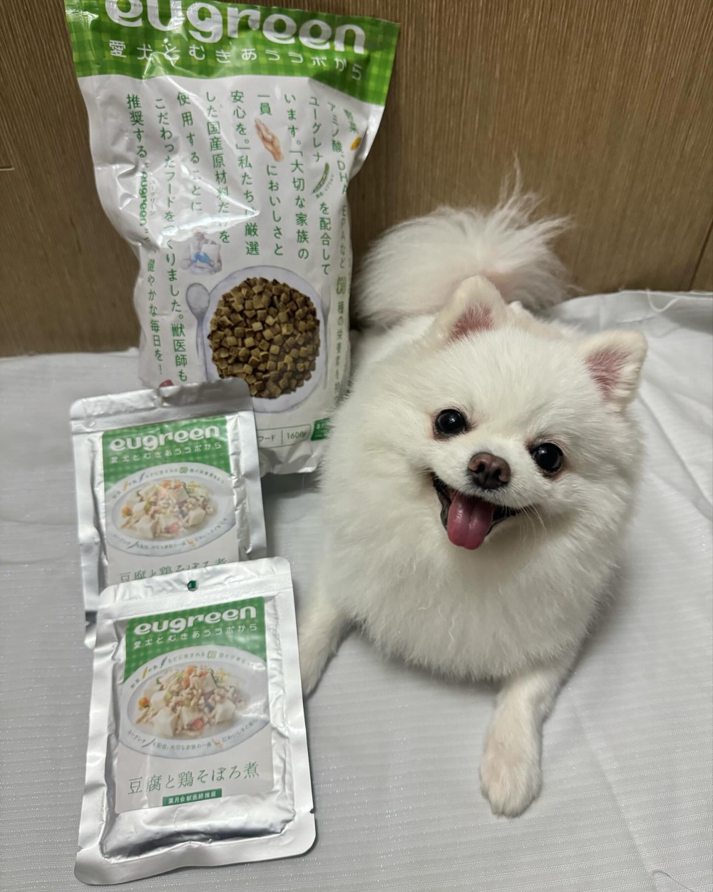 一碗吃得舒服的飯、一個睡得安穩的角落，就能讓牠一整天都很快樂