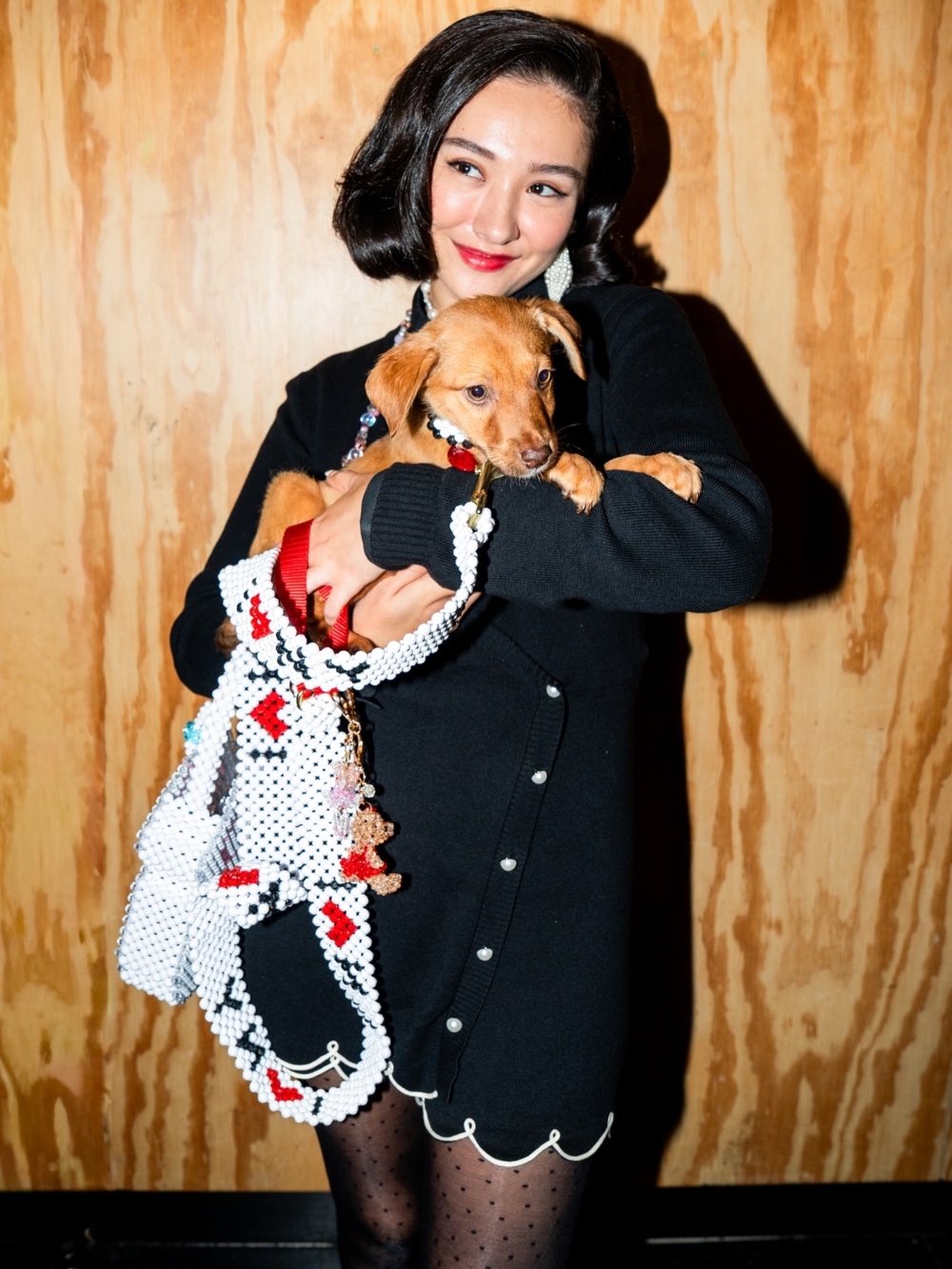 把「狗狗走秀」升級成大型聯名計畫