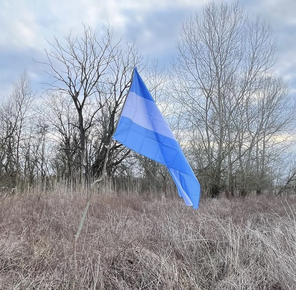 他在2019年正式宣布「自由共和國維迪斯成立」,自任總統,並開始招募公民。