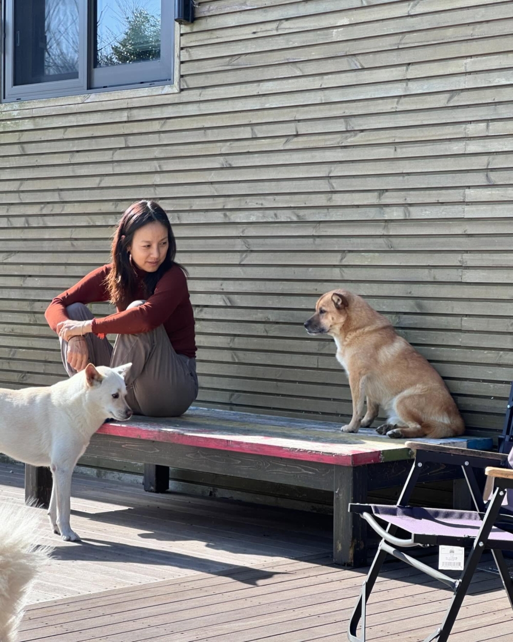 她的瑜伽館不僅提供技術性的指導，更重要的是分享一種經過實踐驗證的生活智慧