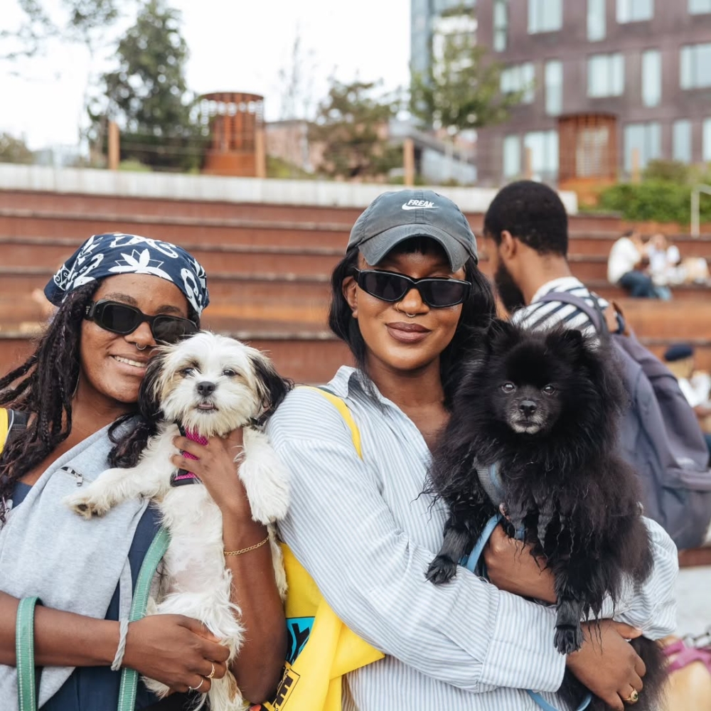 BarkBox把自己定位成「狗狗的快樂盒子」