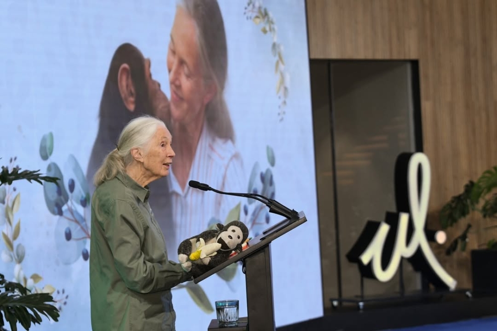 珍古德的後半生，從科學研究轉向了全球性的環境保育和教育行動