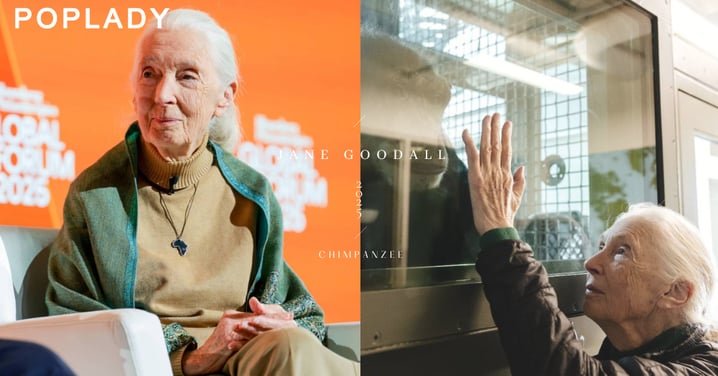 「黑猩猩之母」珍·古德辭世，享耆壽91歲：從一隻玩具猩猩到改寫科學，傳奇的一生謝幕
