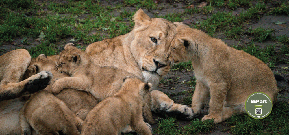 不論選擇哪一種方式，都應該帶著尊重與愛。