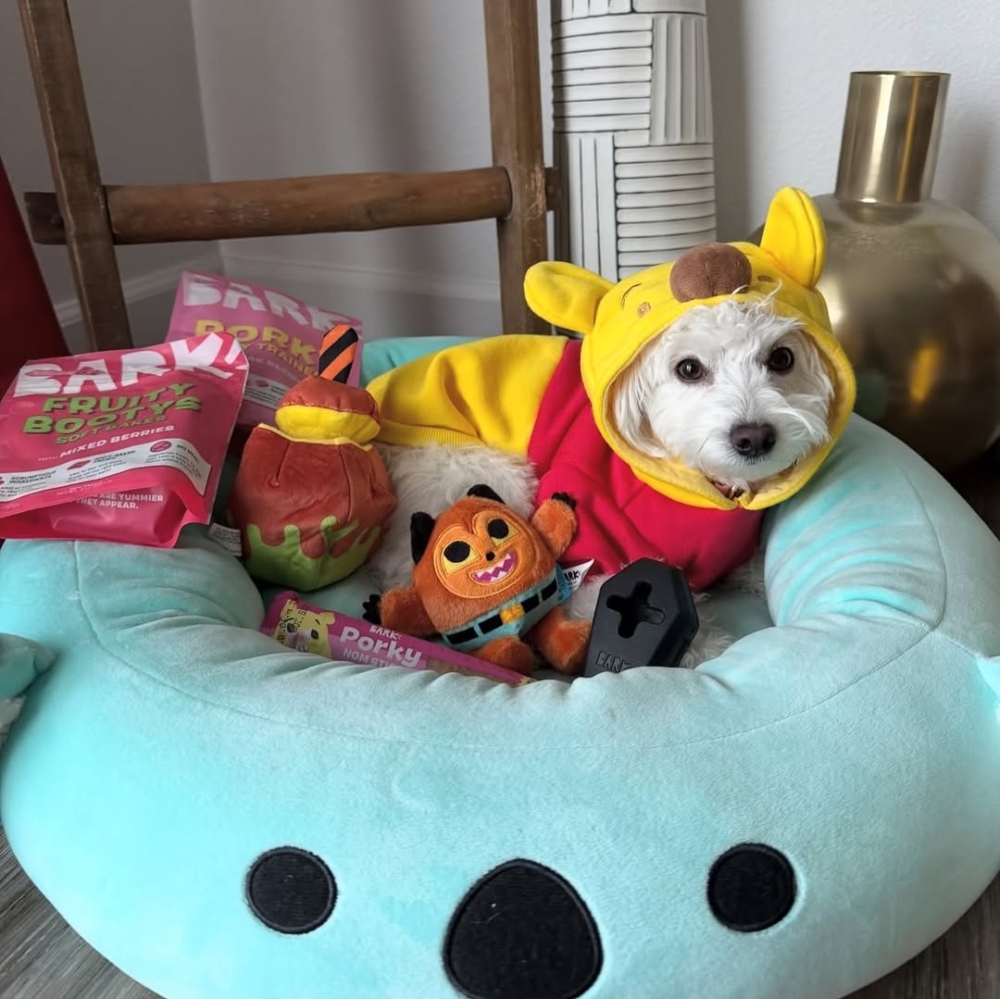 數據分析了解每隻狗的習慣，根據行為與喜好微調內容，讓飼主覺得越用越貼心，也提高續訂率