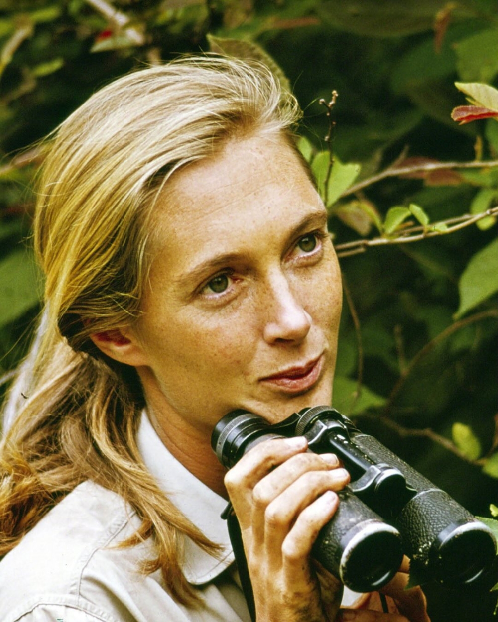 她踏上了非洲大地，命運也在此刻拉開新篇章