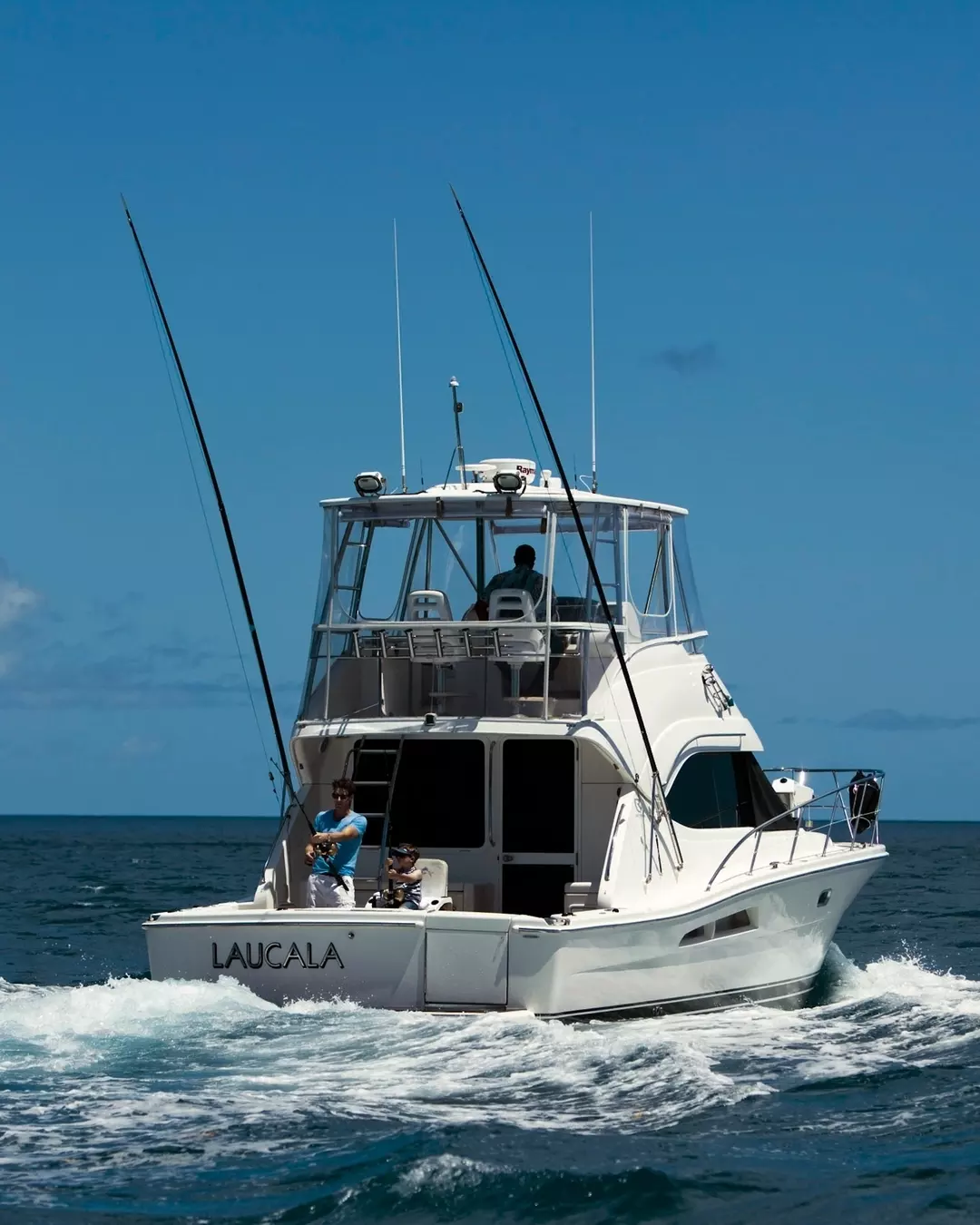 住客變身海洋守護者，潛水種珊瑚去