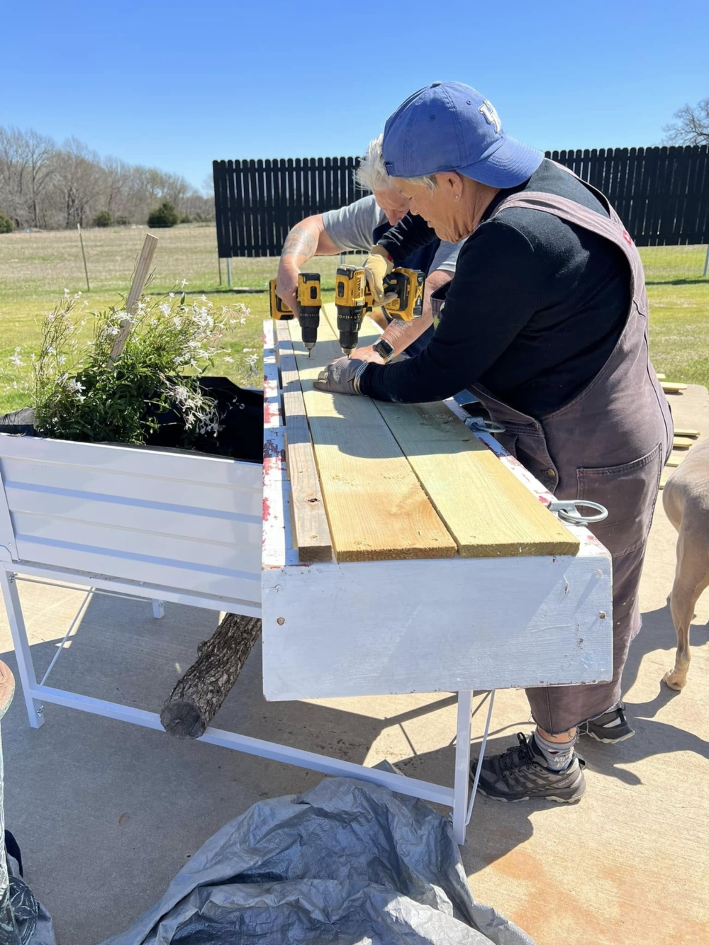 象徵著一個能讓人重新築夢、彼此依靠的溫暖巢穴。