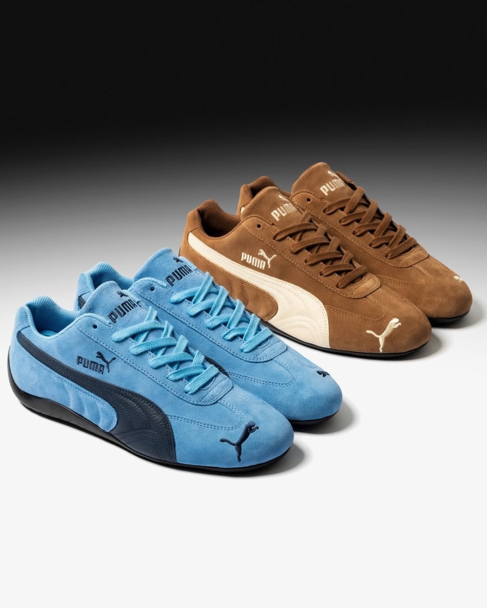 Speedcat社群熱度一路推高，Google 搜尋量暴增