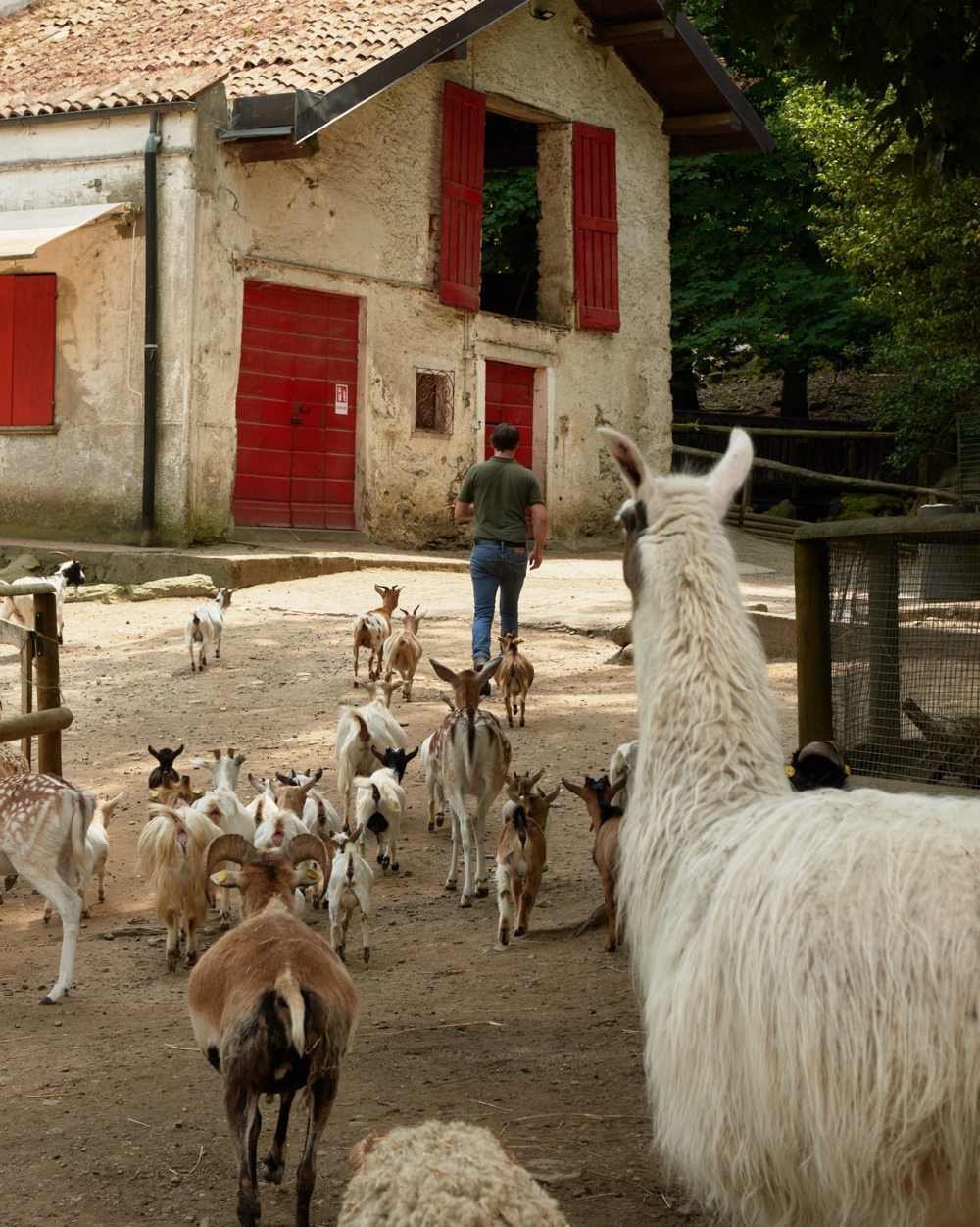 Parco Pallavicino — 帕拉維奇諾公園：動植物與人文教室