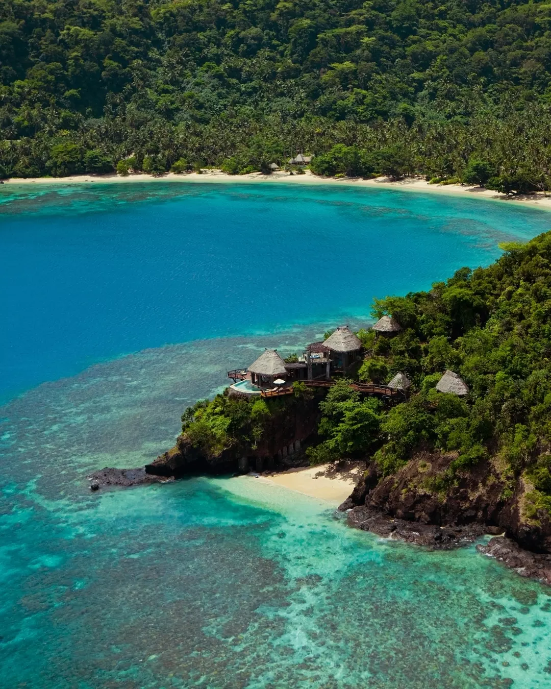 住客變身海洋守護者，潛水種珊瑚去