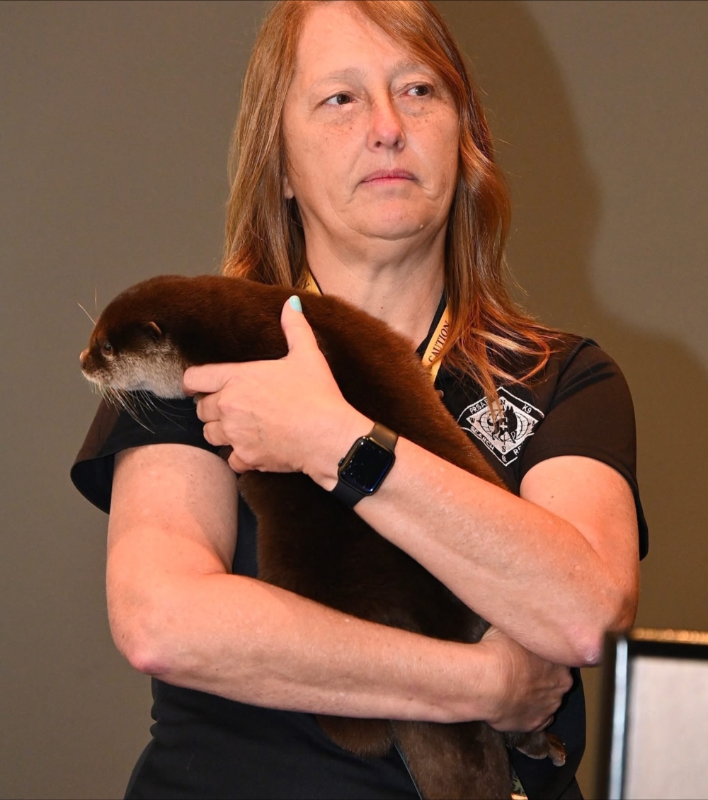 截至目前，Splash 已經參與了二十多次的高難度搜救