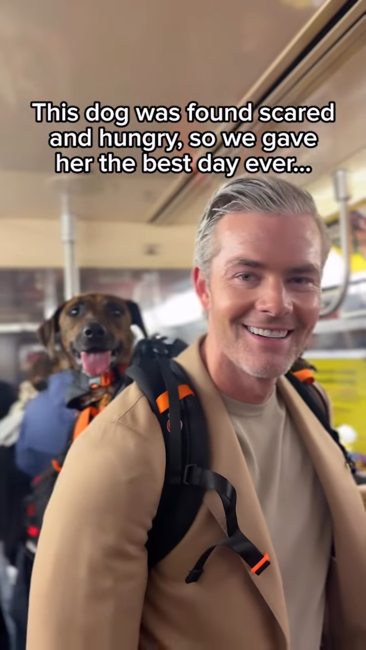 這類平實、日常的互動鏡頭，能讓觀眾不是看見一隻「等待領養的動物」，而是真正感受到「有靈魂、有性格、值得被愛的個體」