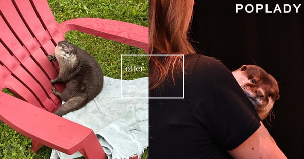 全球首隻水獺警官Splash登場!水下偵探的鼻子超能力,用「氣泡捕捉」技術破了25年懸案