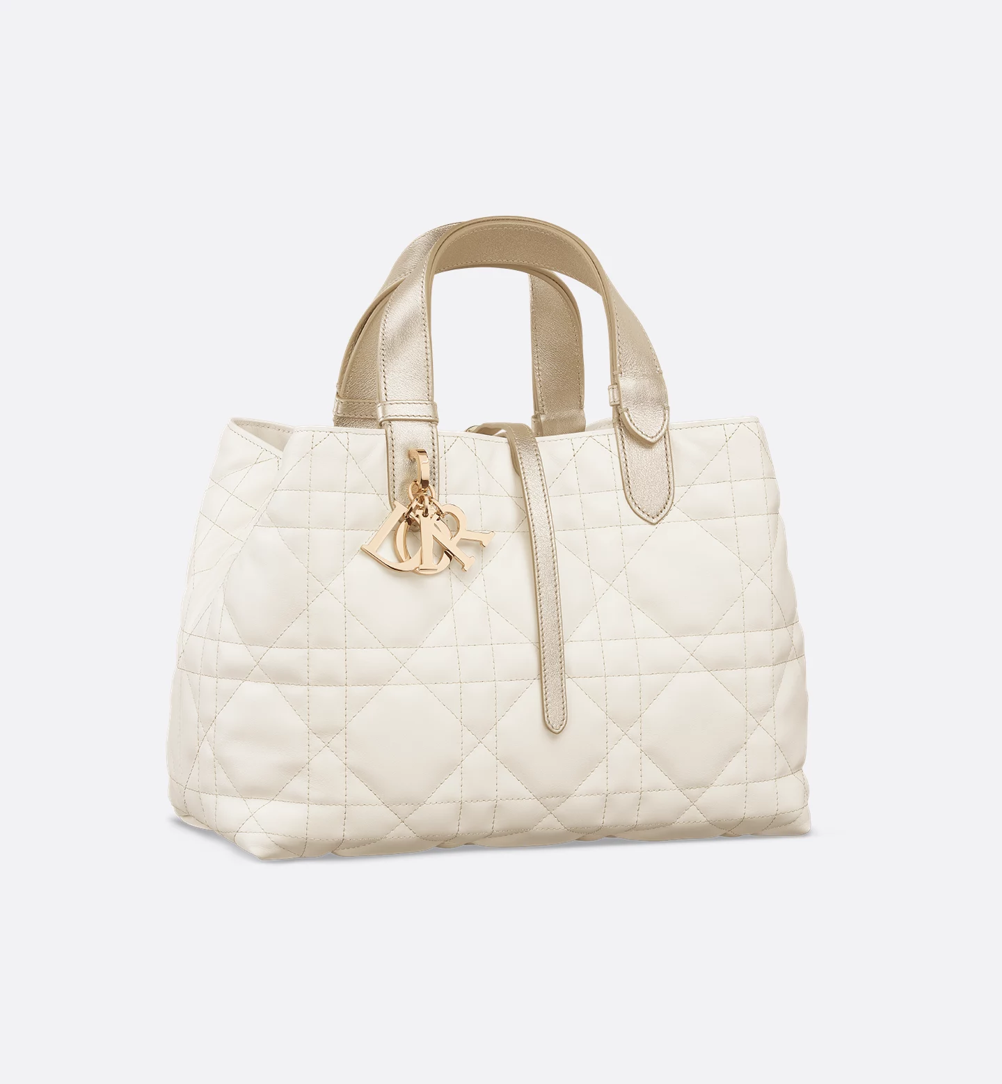 Dior Toujours 手袋