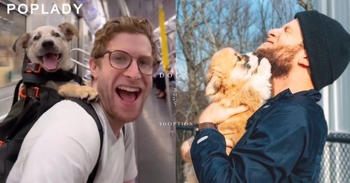 每週一次在背包裡安心看世界，紐約攝影師用「地鐵冒險」拯救流浪犬，15秒短片讓牠們被更多人看見