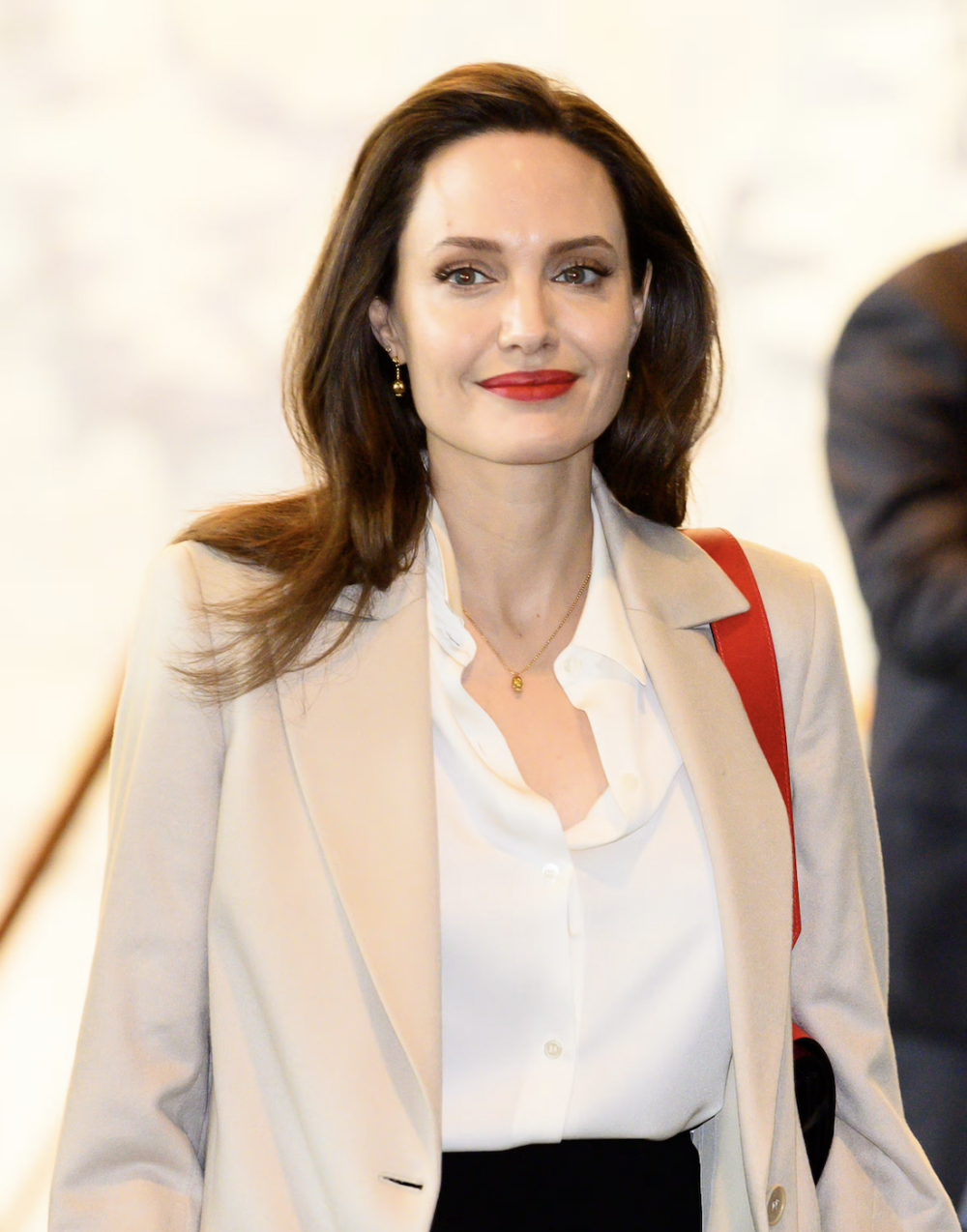 先說說 Angelina 為什麼做出這個決定。她的母親 Marcheline Bertrand 在 2007 年因乳癌過世，當時才 56 歲