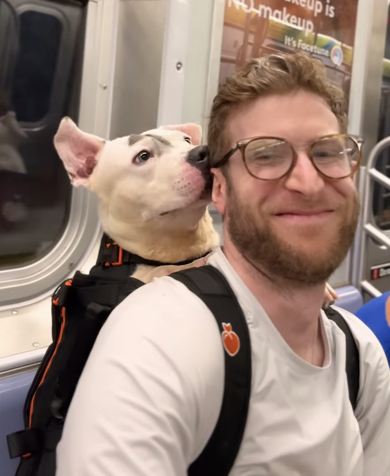 從一背包狗狗的地鐵探頭，到牠被領養回家的瞬間，影片呈現了最簡單卻最深刻的情感：生命被看見，陪伴被珍惜