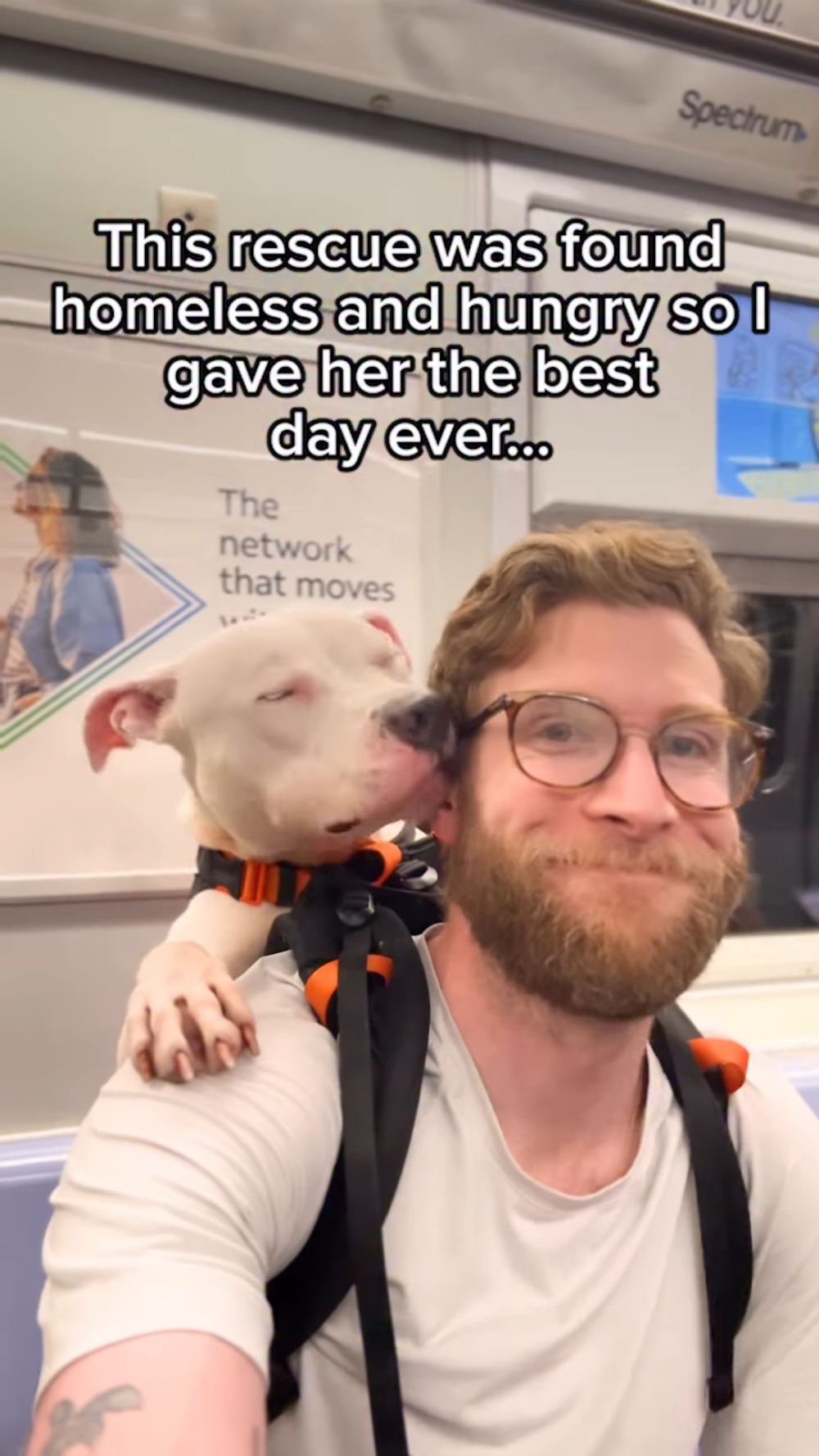 紐約影像創作者 Bryan Reisberg 選擇了最樸實的方式：背著收容所的狗狗穿梭城市街頭