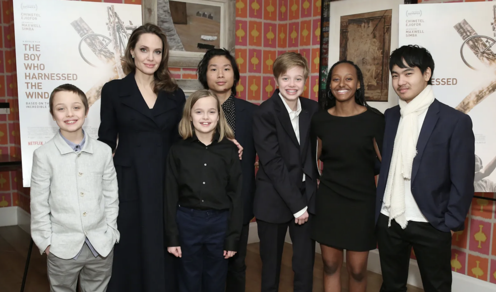 先說說 Angelina 為什麼做出這個決定。她的母親 Marcheline Bertrand 在 2007 年因乳癌過世，當時才 56 歲