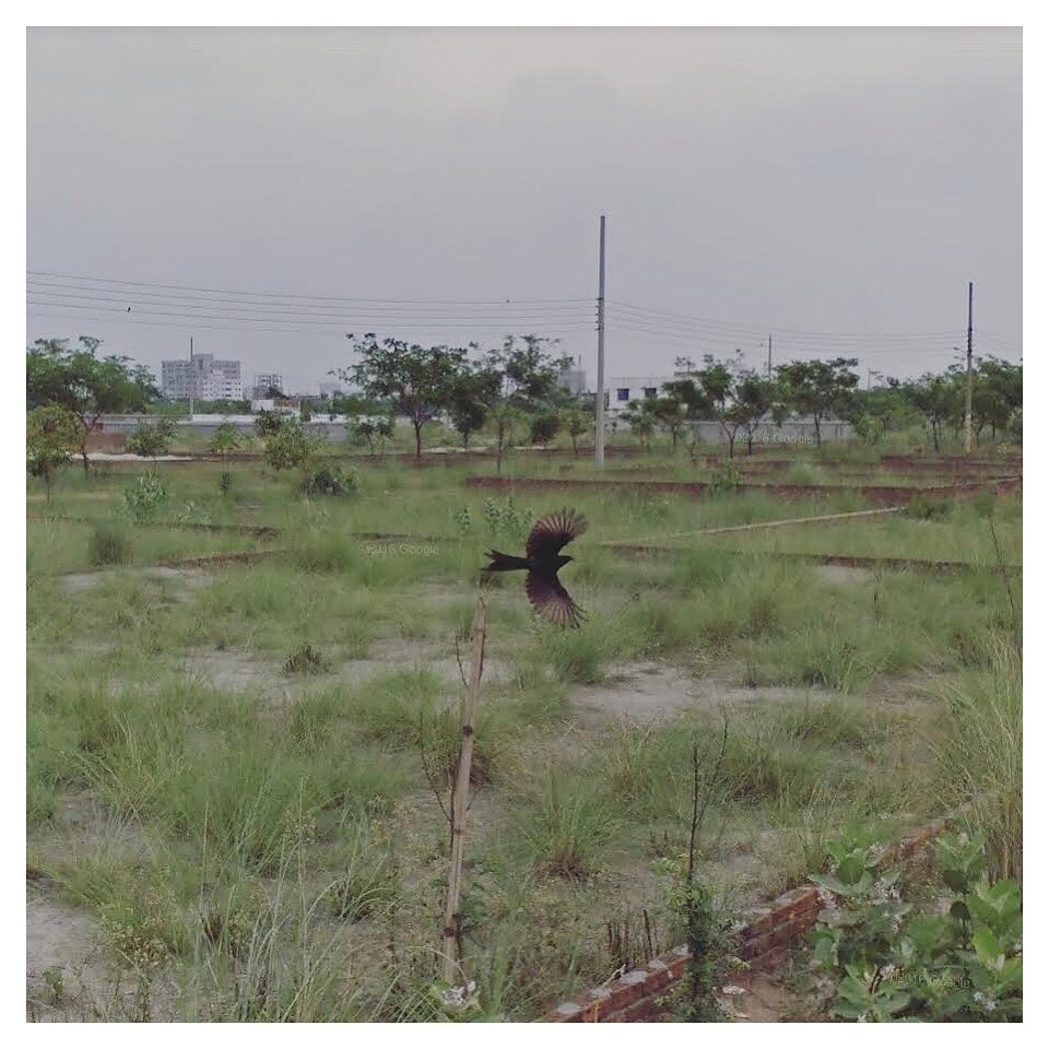 英國藝術家 Jacqui Kenny 透過 Google Street View 以及@streetview.portraits 這個帳號，開啟了一場跨越緯度的靜謐流浪。