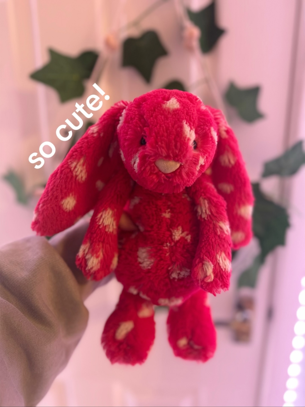 她的收藏故事從一隻在慈善商店偶然入手的小兔子開始。那時的 Hope Roberts 只覺得它可愛，用 20 便士買下它