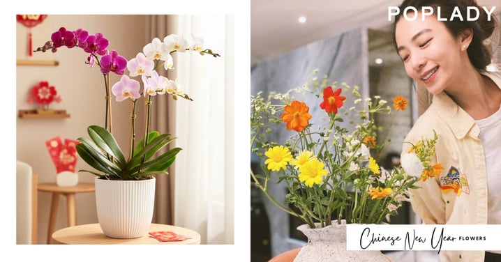 【年花2026】10大過年必備新年花推薦|牡丹、蘭花、桃花寓意與打理秘訣!