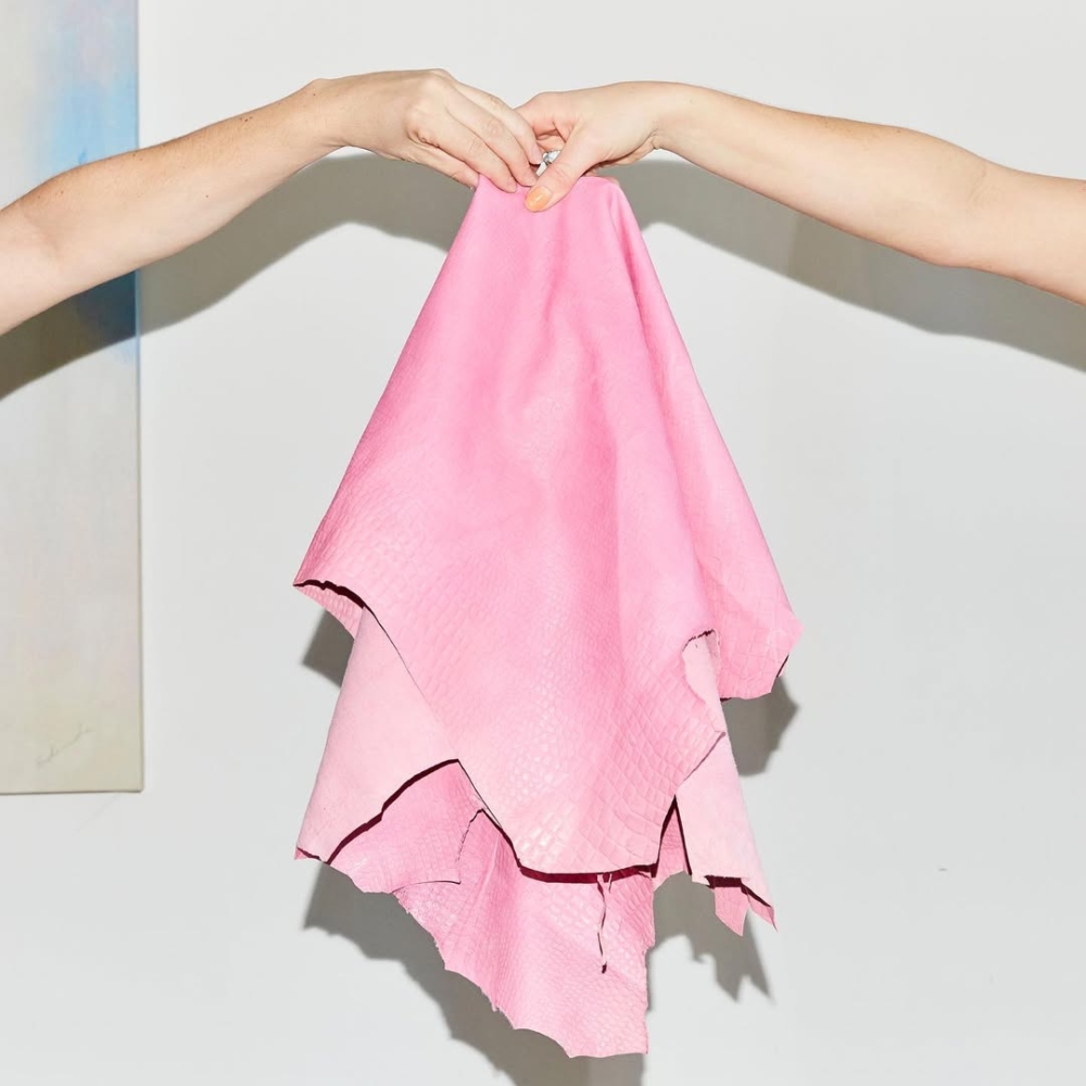 Queen of Raw平台，正是透過一套精密的「去識別化」機制解決了這個矛盾