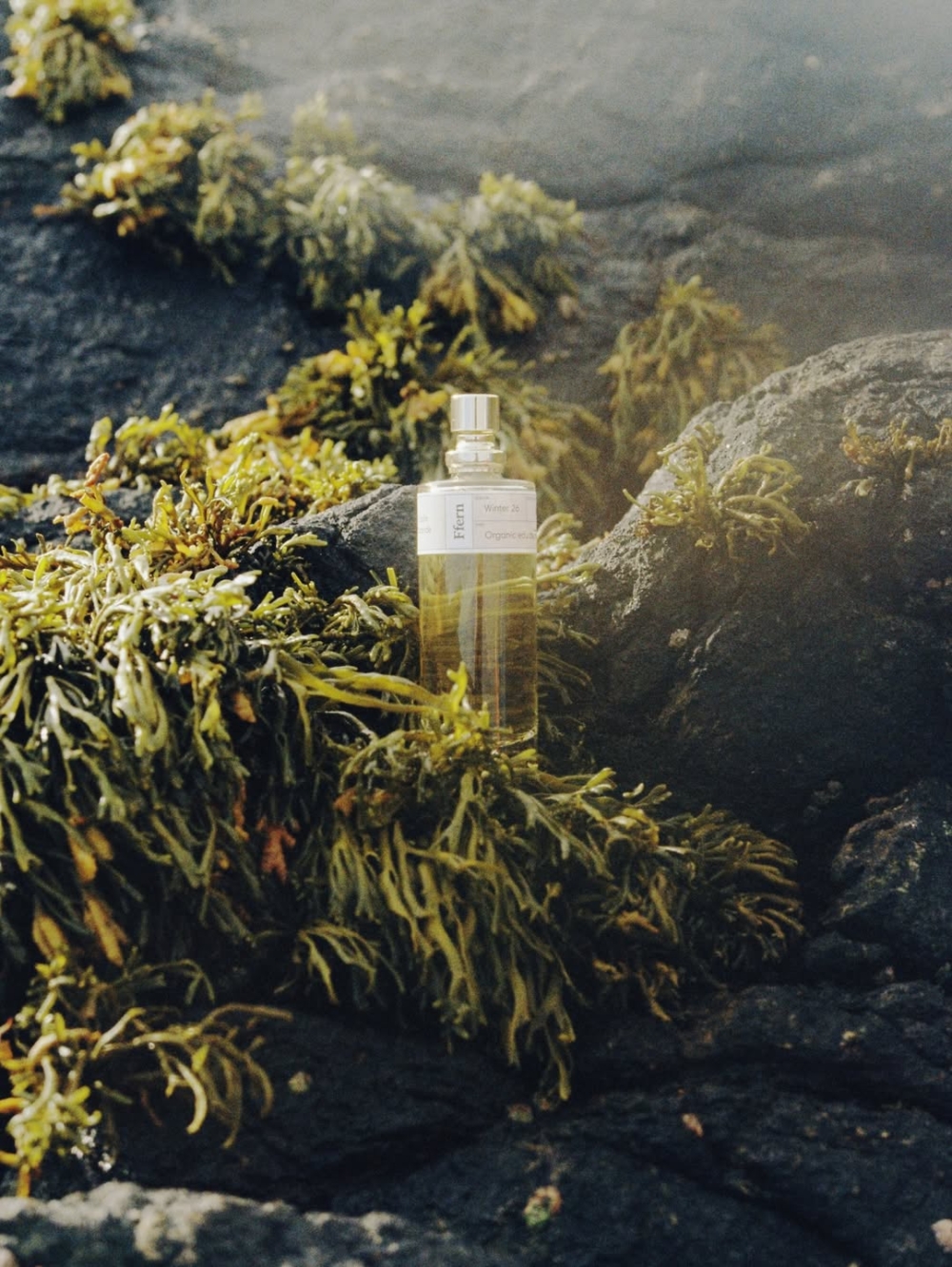 他們拒絕大規模量產。每一季只會根據分類帳上的會員人數進行小編號、小批量生產，確保零浪費、零庫存