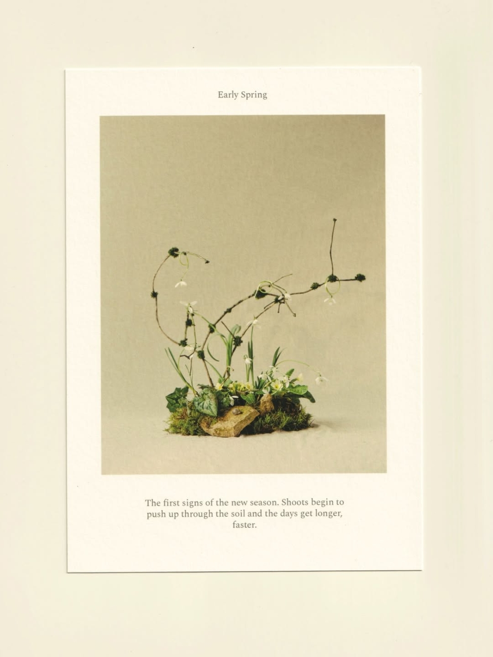 Ffern最讓人津津樂道的就是它的生產分類帳 制度