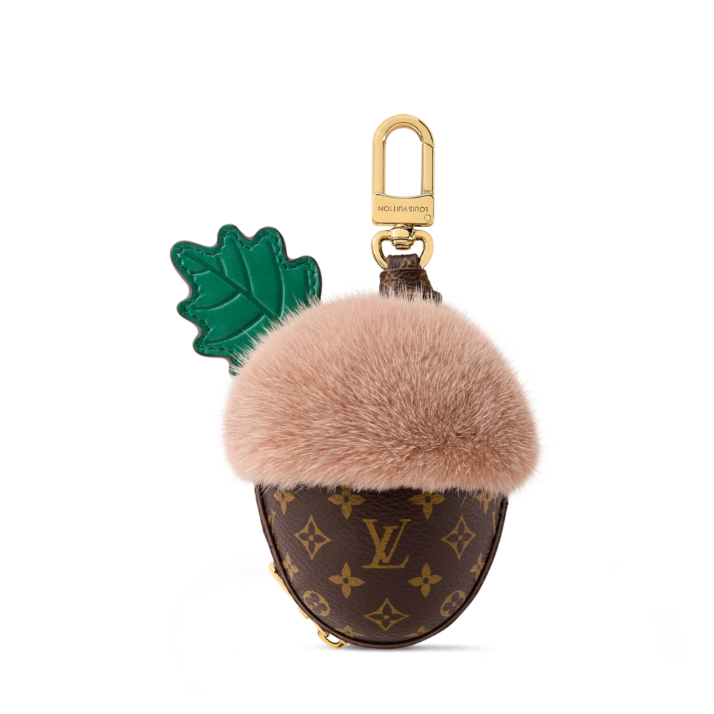 Louis Vuitton LV Acorn Pouch
