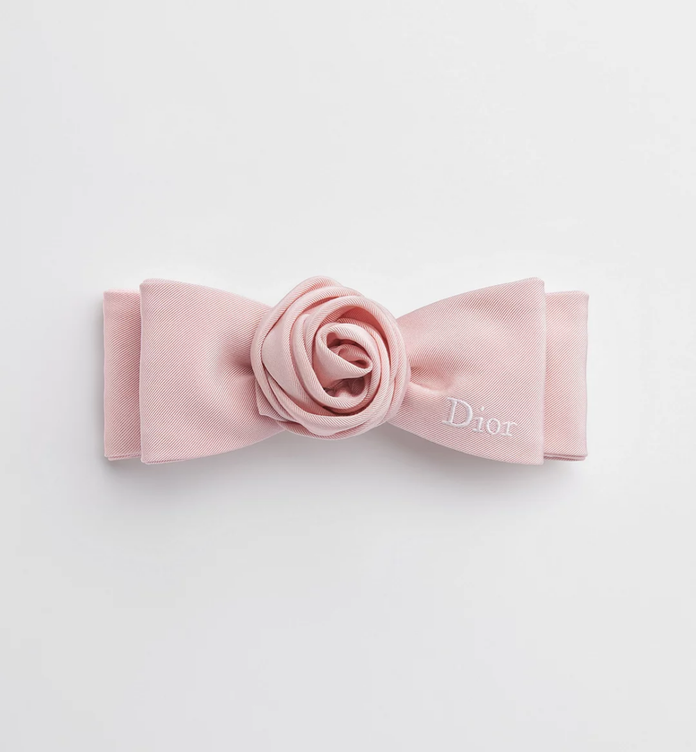 Dior Mister Dior 髮夾 