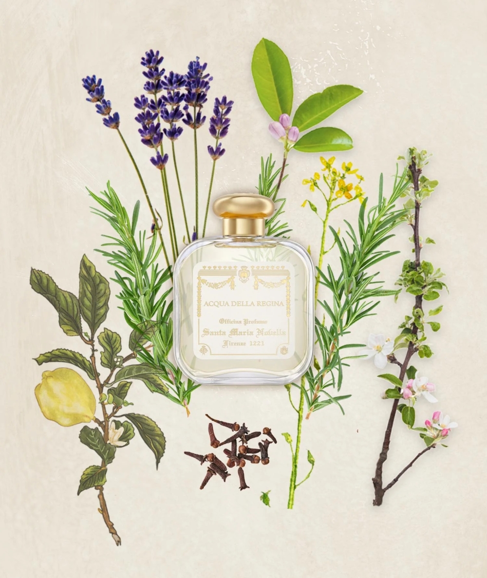 Santa Maria Novella Acqua della Regina 皇后之水
