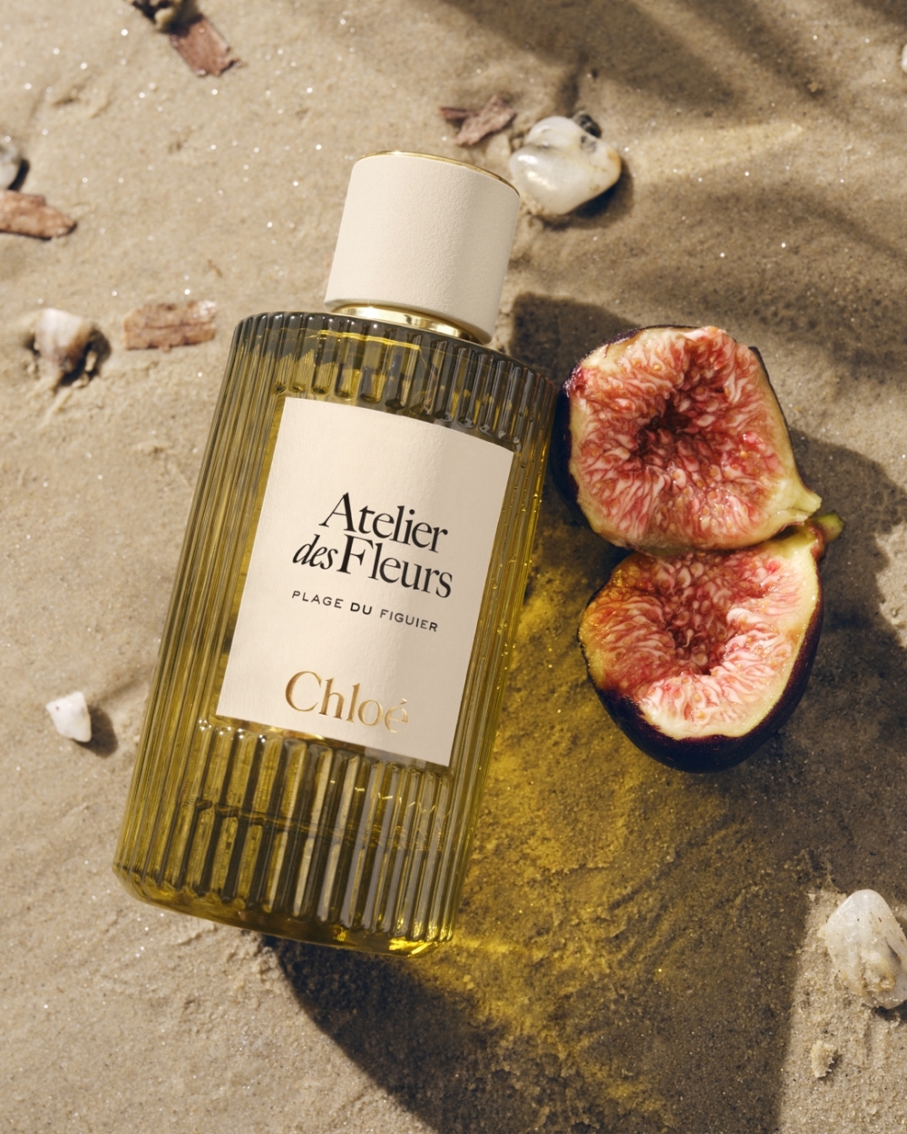 Chloé Atelier des Fleurs Plage du Figuier香氛
